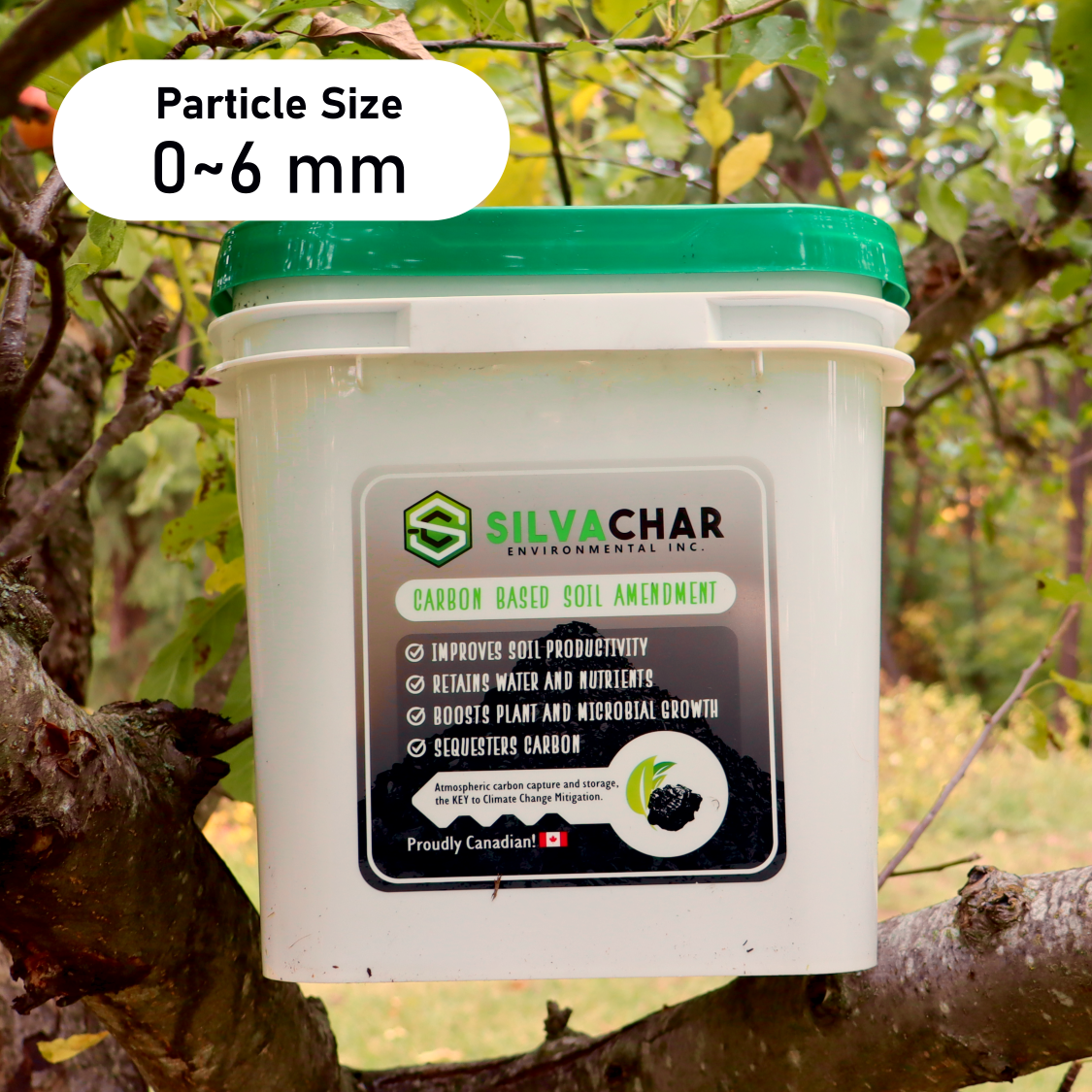 Silvachar Biochar – 10L Bucket (0–6mm) | Fall Soil Prep & Compost Booster