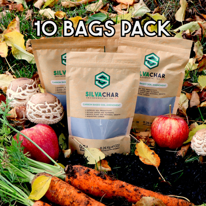 10 PACK Silvachar's Biochar (0.5 L each) 100% Biodegradable Bag for house plants. (Copy)